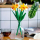 LEGO Botanicals 40747 Żonkile - 1202095 - zdjęcie 8